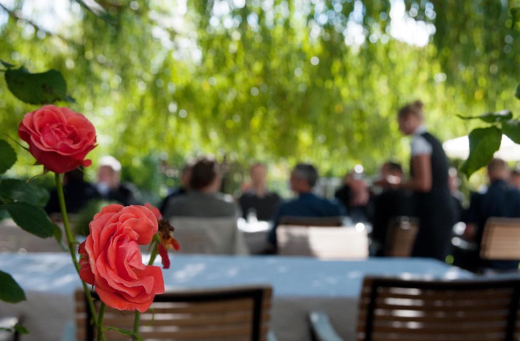 Hotel Landgut Burg Gmbh Weinstadt Ngoại thất bức ảnh